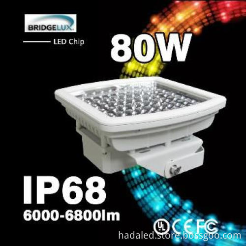 2013 Newest & Most popular 80w led high bay, tunnel lamp, CE RoHS Brid